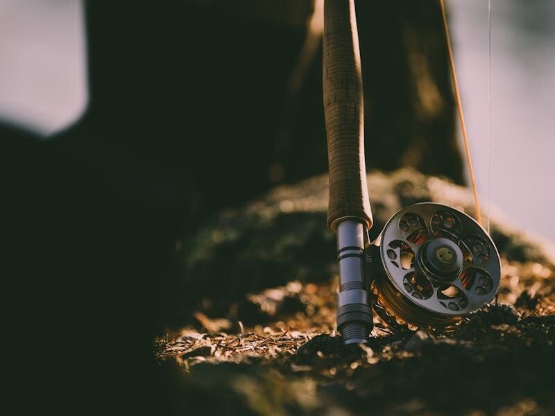 Fly fishing rod