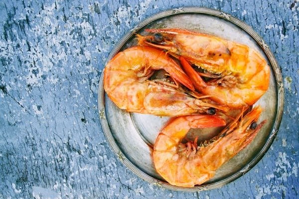 Live bait