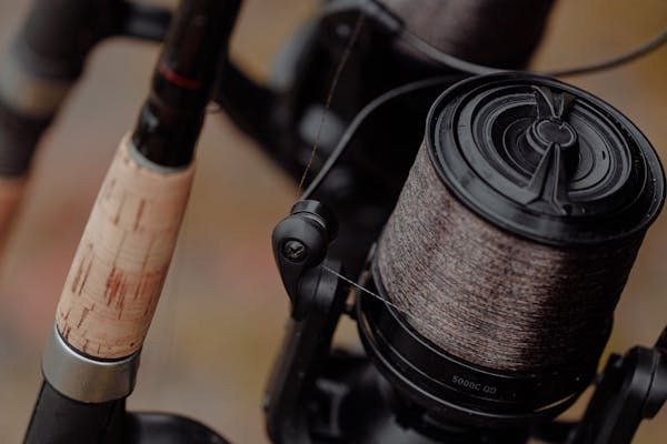 Rods and Reels